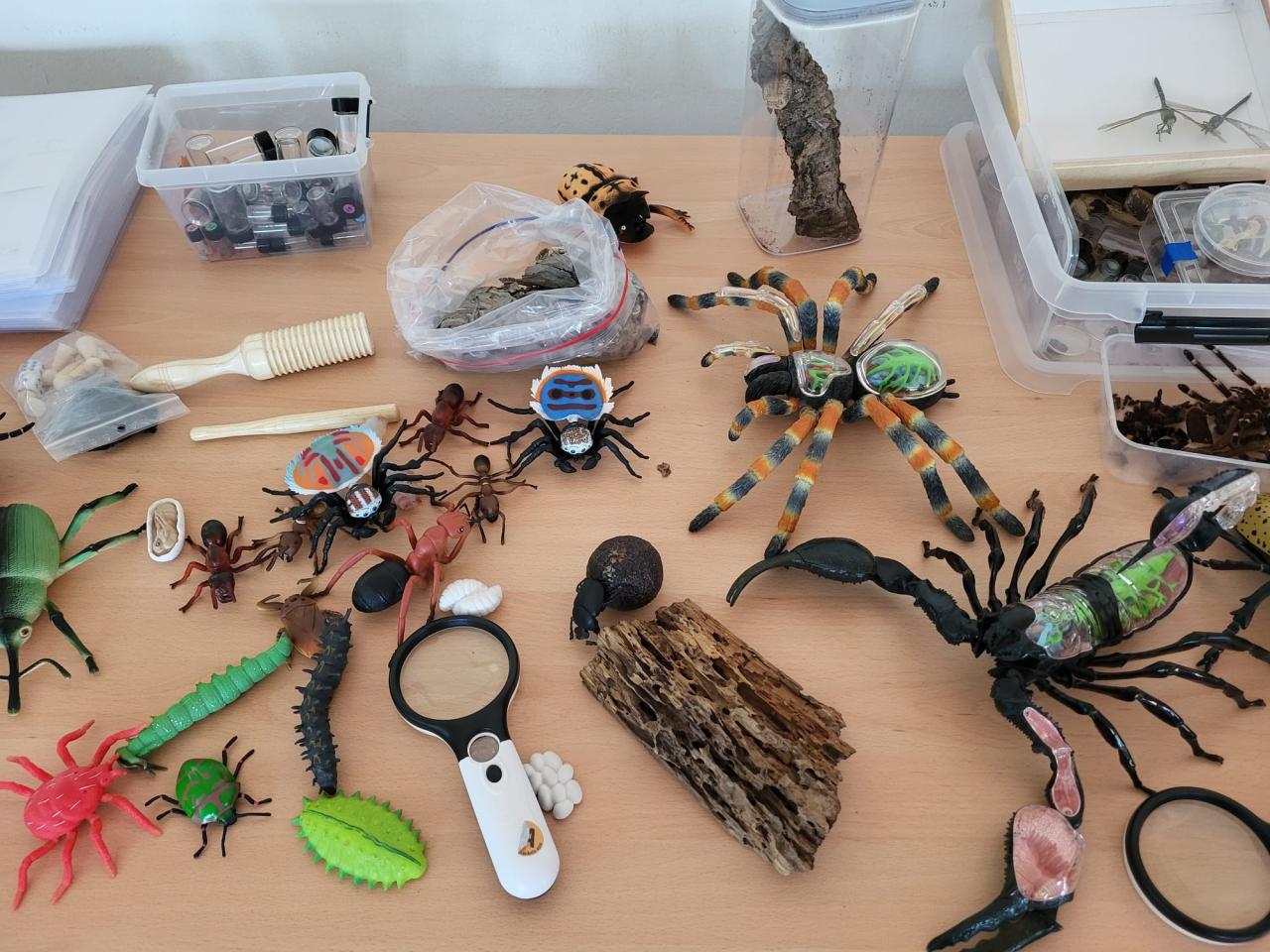 Insekten1